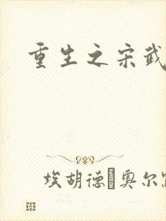 重生之宋武大帝