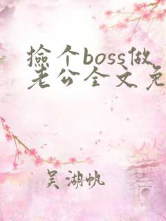 捡个boss做老公全文免费阅读全文