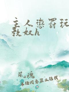 主人惩罚玩弄调教奴h