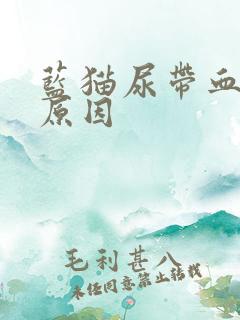 蓝猫尿带血什么原因