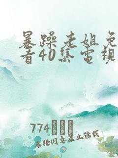 暴躁老姐免费观看40集电视剧