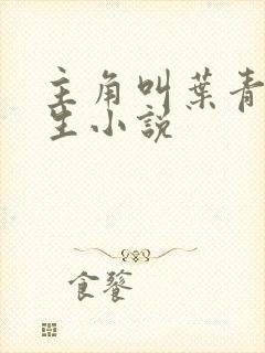 主角叫叶青的重生小说