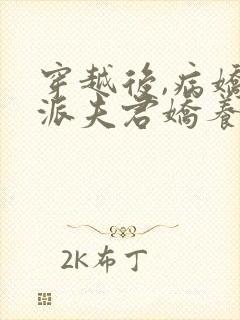 穿越后,病娇反派夫君娇养了我小说