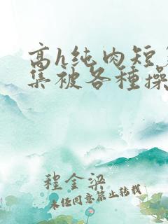 高h纯肉短篇合集被各种操批