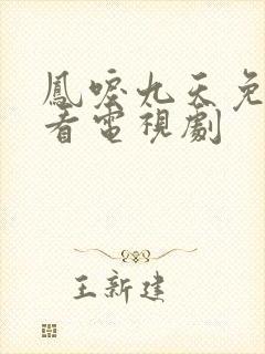 凤唳九天免费观看电视剧