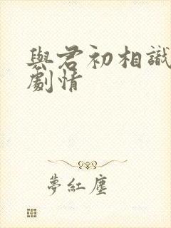 与君初相识大概剧情