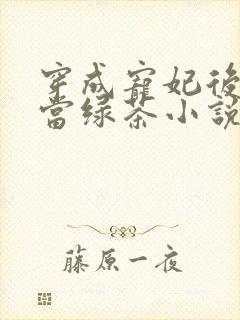 穿成宠妃后只想当绿茶小说