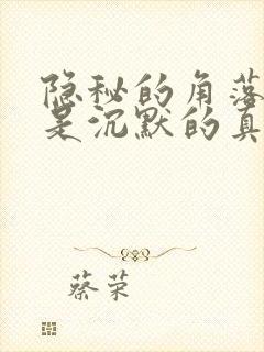 隐秘的角落严良是沉默的真相里的吗