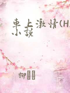 车上激情(H)小说