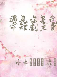 遇见你是我的宿命短剧免费观看全集