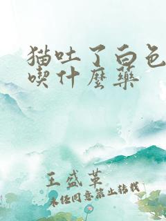 猫吐了白色泡沫吃什么药