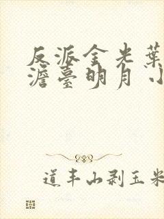 反派金光叶玄,澹台明月 小说