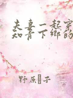 夫妻一起穿越成知青下乡的小说推荐