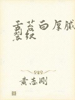 舌苔白厚腻中竖裂纹