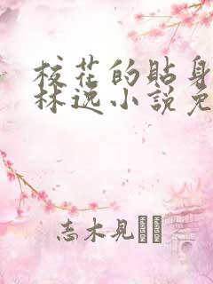 校花的贴身高手林逸小说免费看