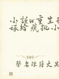 小说w重生后,嫁给疯批小皇叔》