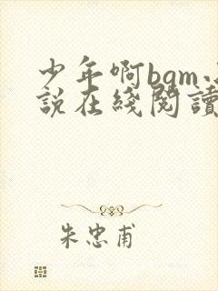 少年啊bgm小说在线阅读