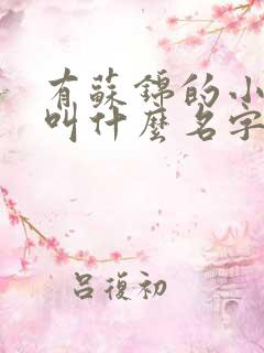 有苏锦的小说是叫什么名字