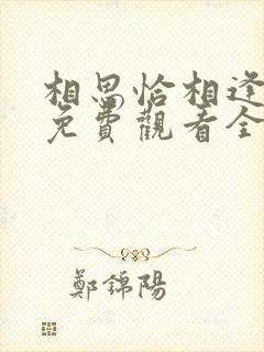 相思恰相逢短剧免费观看全集高清