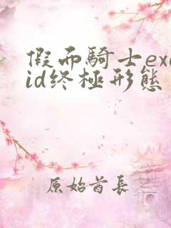 假面骑士exaid终极形态