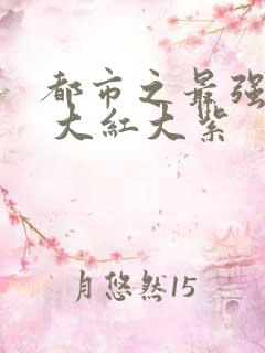 都市之最强狂兵 大红大紫