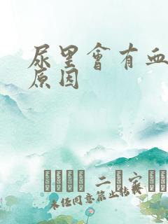 尿里会有血什么原因