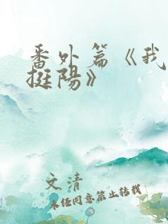 番外篇《我叫周挺阳》