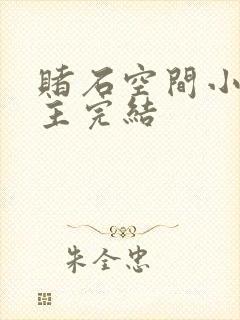 赌石空间小说女主完结