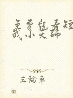 免费观看短剧医武小天师