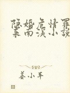 隐婚危情罪妻归来南溪小说阅读