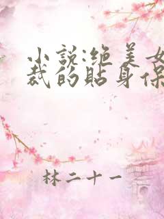 小说:绝美女总裁的贴身保安