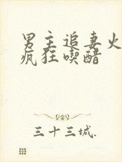 男主追妻火葬场疯狂吃醋