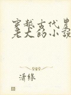 穿越古代农家当老大的小说