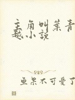 主角叫叶青的穿越小说