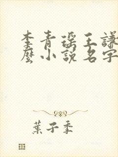 李青瑶王谦是什么小说名字