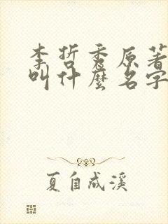 李哲秀原著小说叫什么名字啊