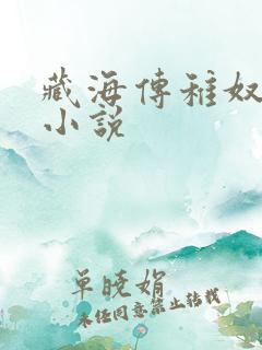 藏海传稚奴原著小说