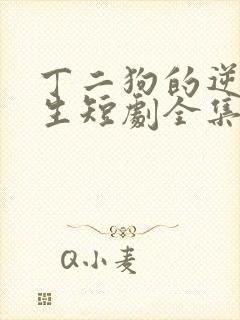 丁二狗的逆袭人生短剧全集