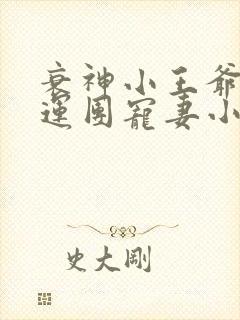 衰神小王爷的福运团宠妻小说txt