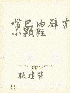 嘴巴内壁有很多小颗粒