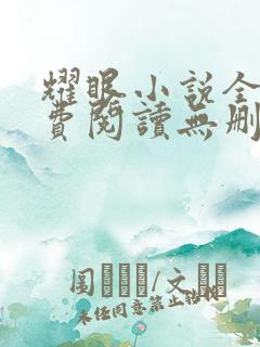 耀眼小说全文免费阅读无删减