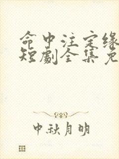 命中注定缘归来短剧全集免费