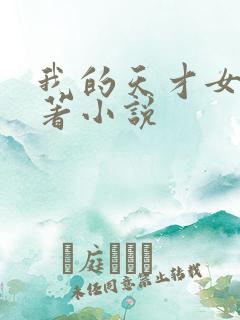 我的天才女友原著小说