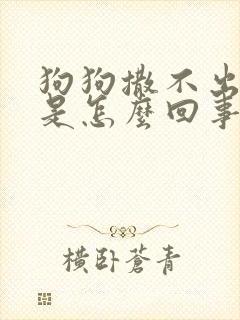 狗狗撒不出来尿是怎么回事