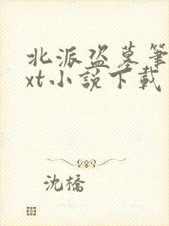 北派盗墓笔记txt小说下载