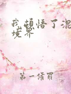 我顿悟了混沌体境界