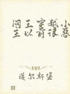 网王穿越小说女主以前很恶毒