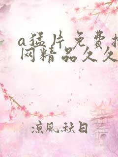 a猛片免费播放网精品久久久久久久久