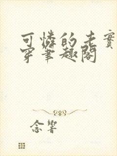 可怜的老实人快穿笔趣阁