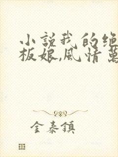 小说我的绝色老板娘,风情万种免费看